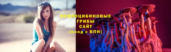 ГАЛЛЮЦИНОГЕННЫЕ ГРИБЫ Белоозёрский