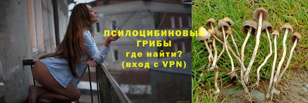 прущая мука Белокуриха