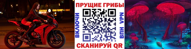 Псилоцибиновые грибы прущие грибы  дарнет шоп  Гулькевичи 